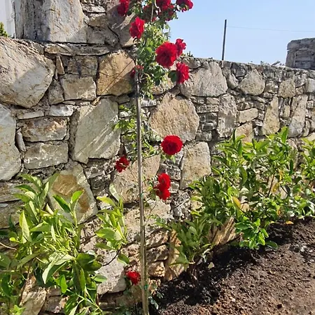 Bluberry Calis With Privat Pool *